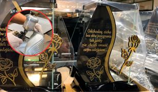 Wszystkich Świętych a cmentarne trendy. Takie znicze wybierają Polacy