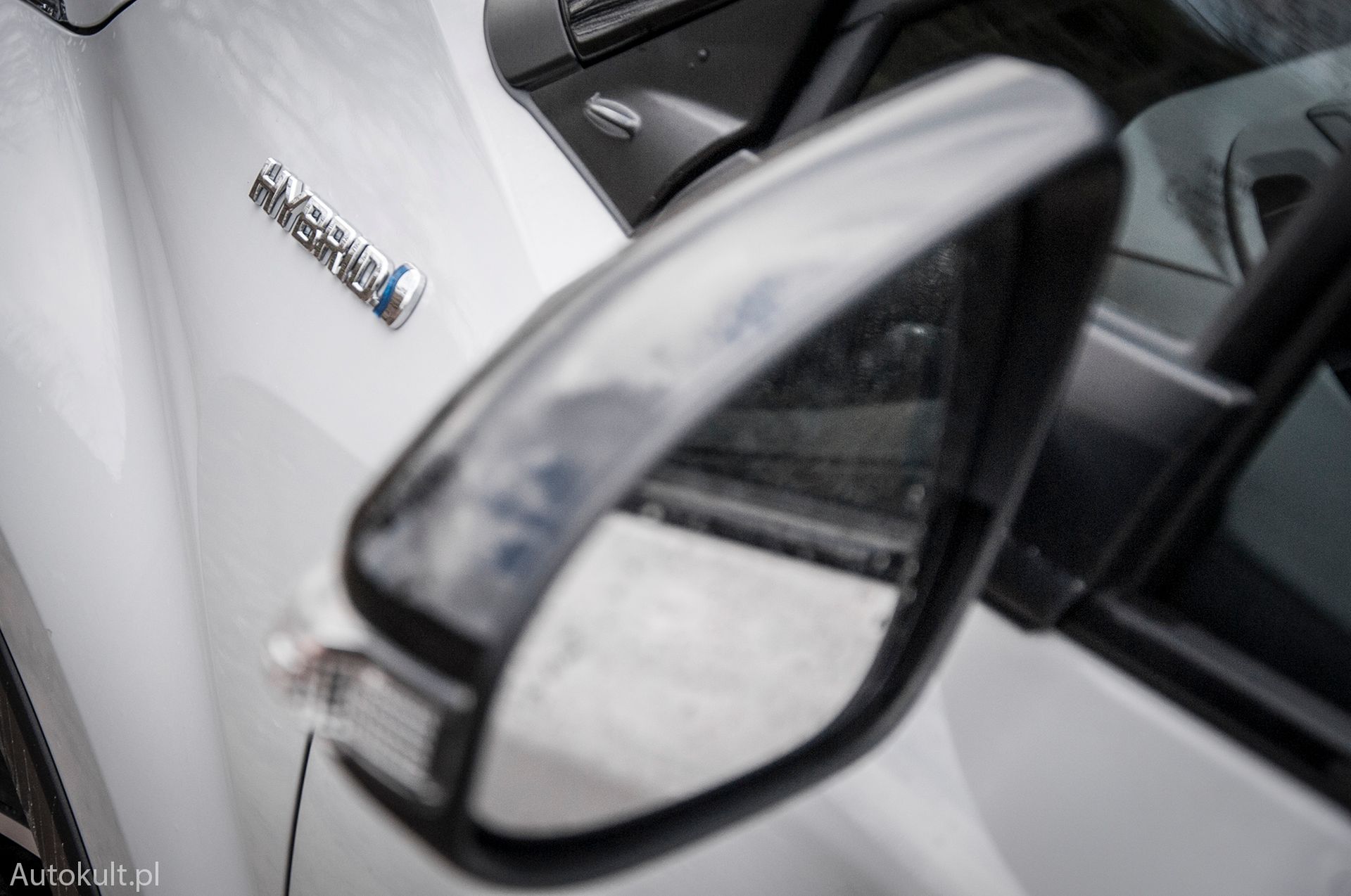 Zdjęcie ilustracyjne do artykułu