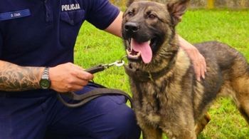 Nisko: Borys dołączył do policji. Będzie szukał materiałów wybuchowych