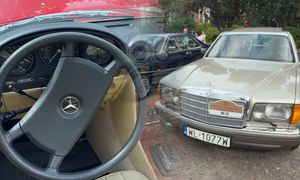 Zabytkowe Mercedesy na zlocie w Świnoujściu. Te perełki trzeba zobaczyć