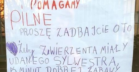 Poruszająca treść ogłoszenia kilkulatki. "Proszę, zadbajcie o to"