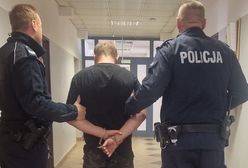 Pijany kierowca potrącił policjanta. Funkcjonariusze ruszyli za nim w pogoń