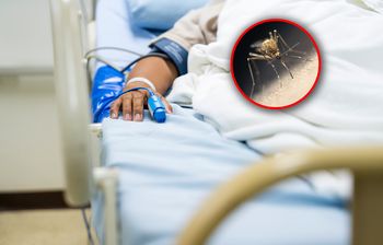 Chikungunya coraz bardziej nam zagraża? "Ekspansja choroby na północ to tylko kwestia czasu"