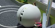 LG Rolling Bot w naszych rękach [wideo]