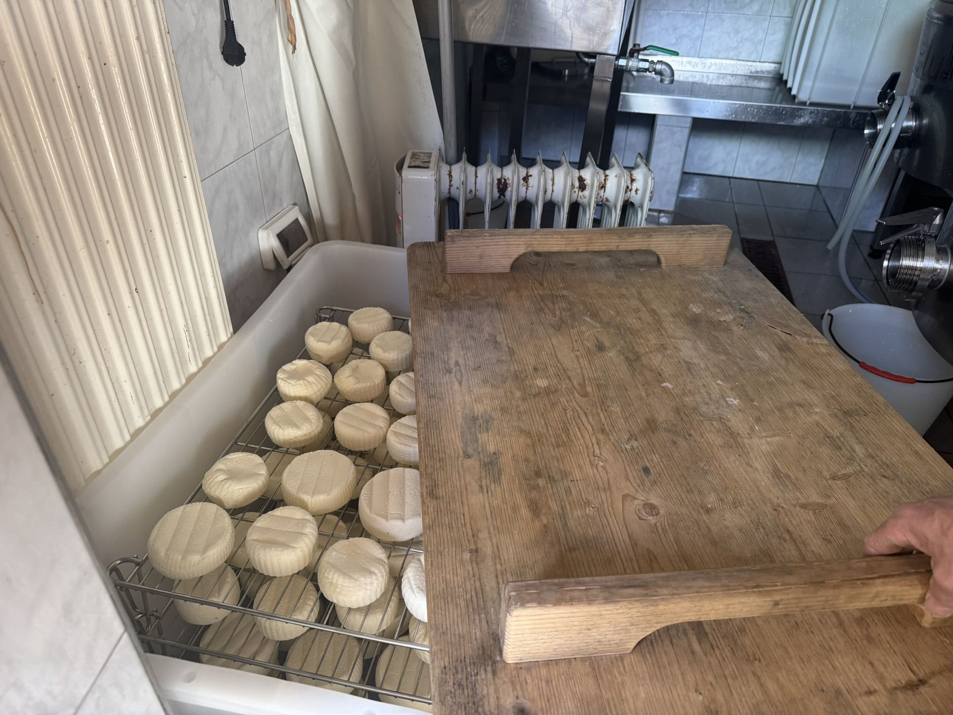 W gospodarstwie Nofnerhof produkuje się nagradzane sery 