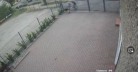 Podał psu truciznę. Szuka go policja