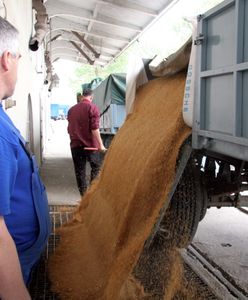 Ukraina zakazuje eksportu żywności. Ceny idą w górę