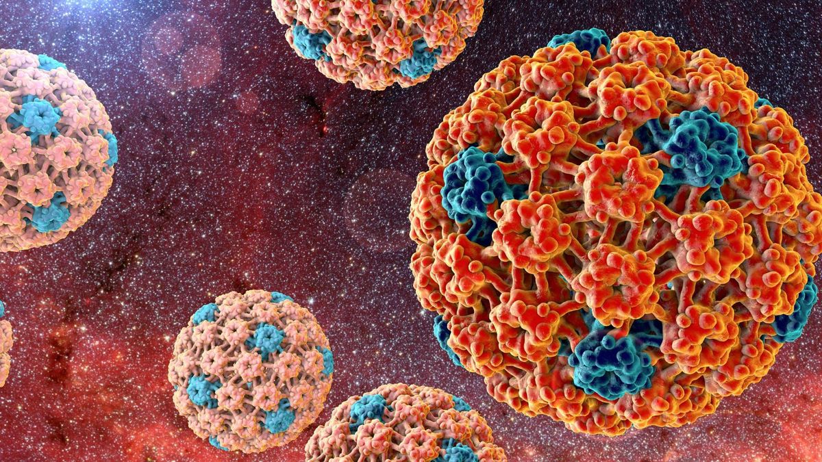 Brodawczak ludzki typu 16 