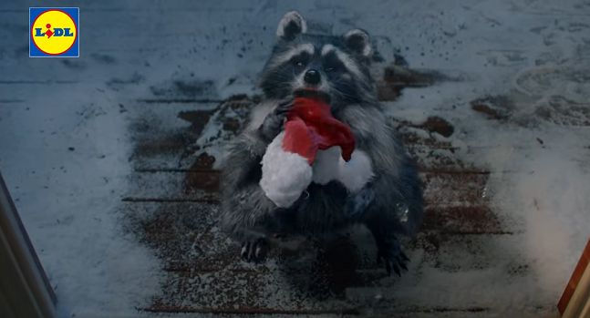 Świąteczne kampanie już od początku listopada, bo w reklamie tłoczno. "To wywołuje irytację"