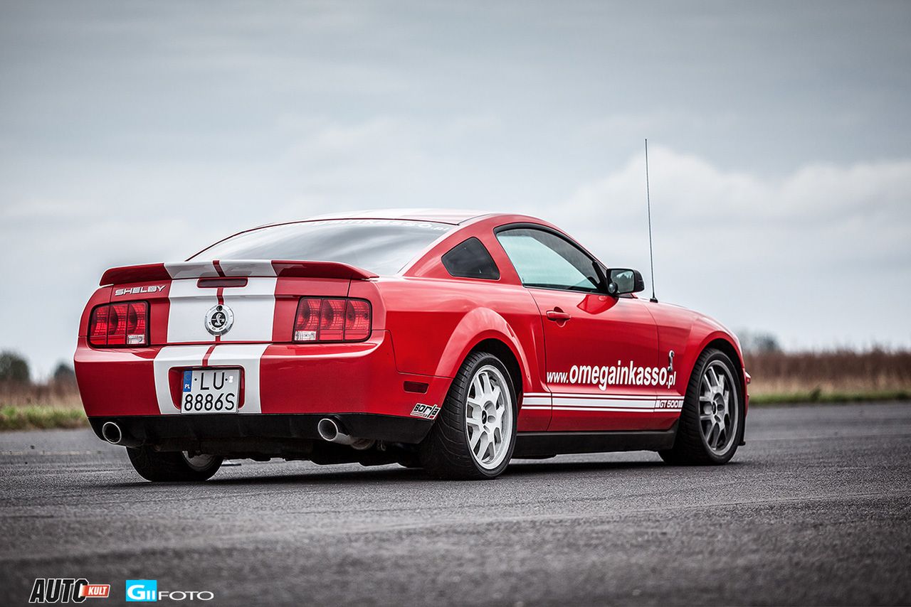 Shelby GT500 (fot.GIIFOTO)