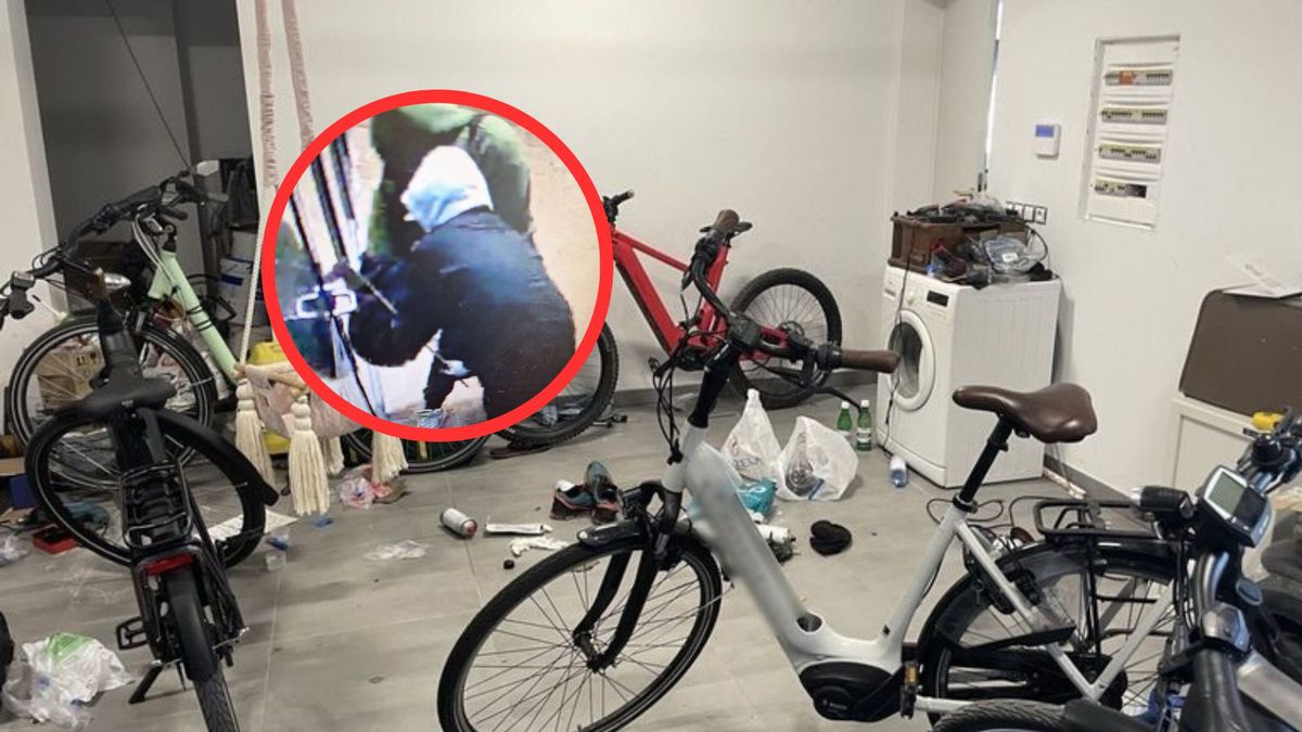 Policja zatrzymała trzech złodziei