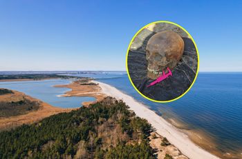 Odkrycie na Wyspie Sobieszewskiej. Historyków z dziwił nietypowy widok