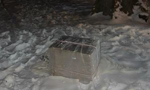 Balon zawisł na drzewie w Białymstoku. Policja zabezpieczyła paczkę