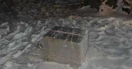 Balon zawisł na drzewie w Białymstoku. Policja zabezpieczyła paczkę