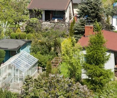 Ponad 100 tys. zł za skrawek zieleni w mieście. Ogródki działkowe idą jak woda