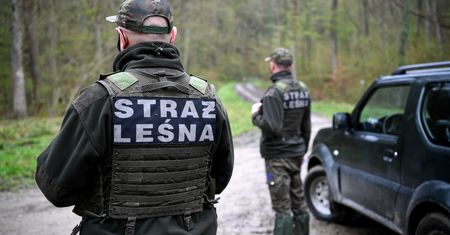 Ważna decyzja Straży Leśnej. Będzie mobilizacja