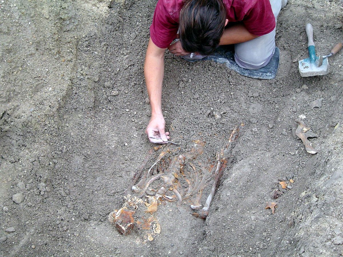 Archeolodzy podkreślają, że znalezisko z Sobiecina jest sensacją na skalę światową