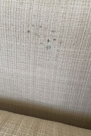 Pluskwy w pokoju hotelowym