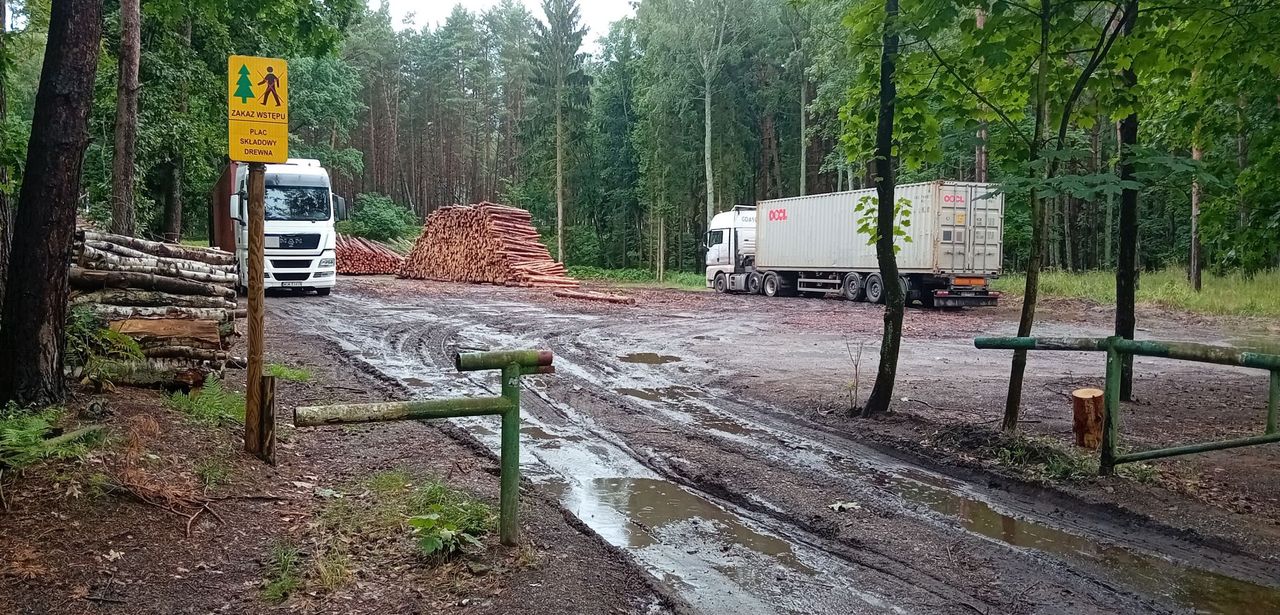 Przekop Mierzei Wiślanej, parking