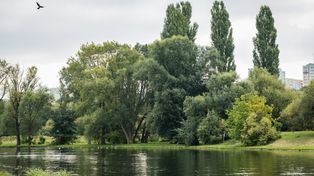 Bydgoszcz: Osiem lat temu proponował kąpielisko w Parku Centralnym. Dziś apeluje o "okrągły stół" w temacie inwestycji