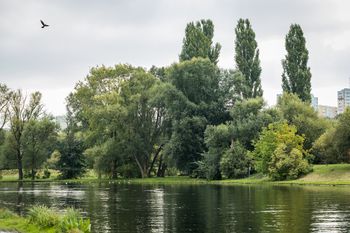 Bydgoszcz: Osiem lat temu proponował kąpielisko w Parku Centralnym. Dziś apeluje o "okrągły stół" w temacie inwestycji
