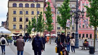 Wrocławski Rynek już cały zielony. Nad kostką posadzono piękne drzewa