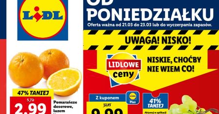 Lidl gazetka od 21.03. Promocje w Lidlu od poniedziałku 21 marca