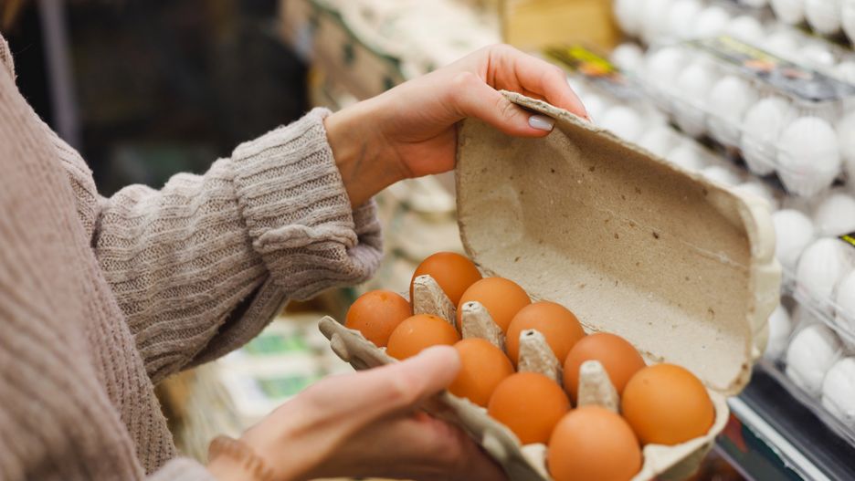 jaja, jajka, jajo, jajko