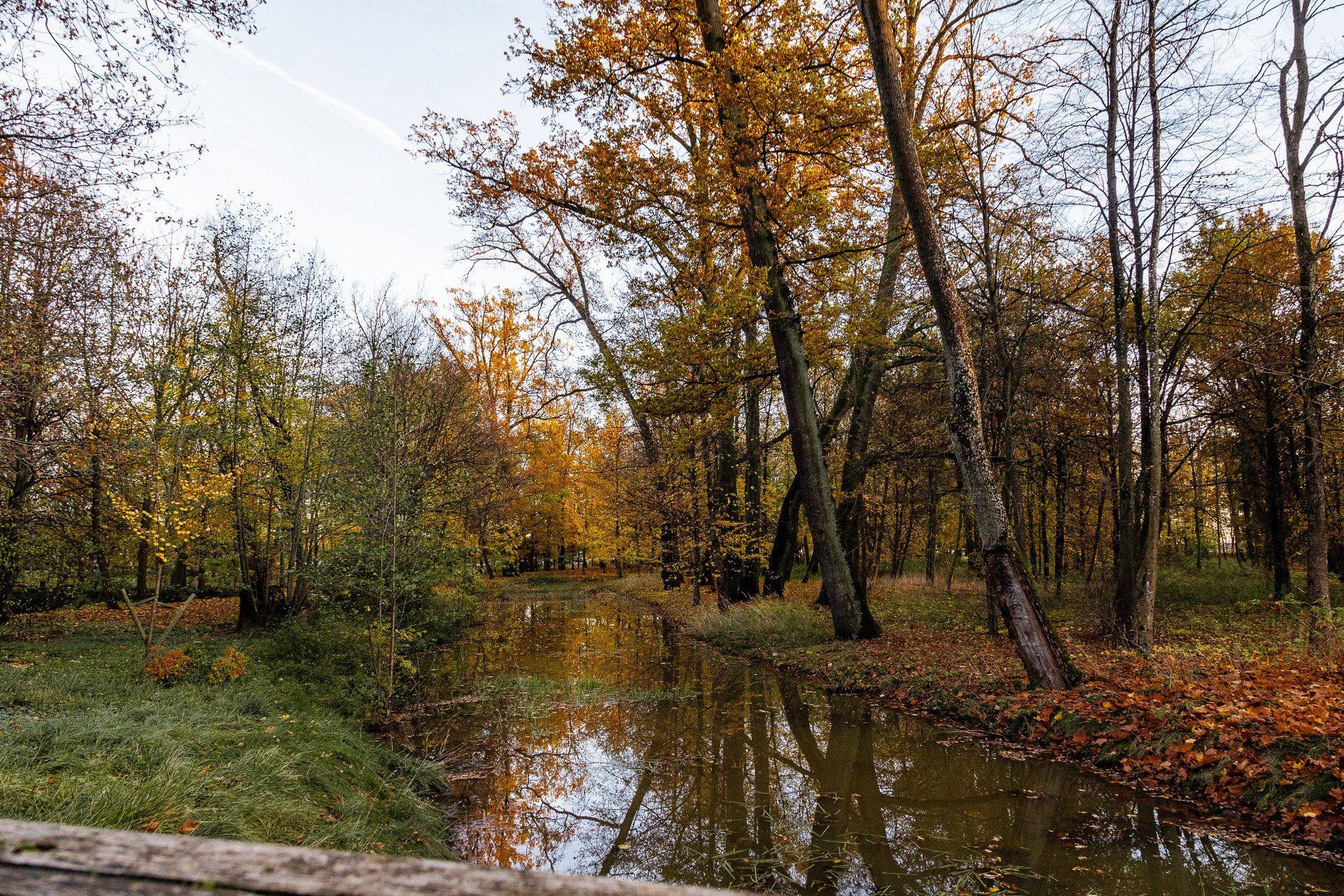 Jesienny krajobraz w Uniejowie.