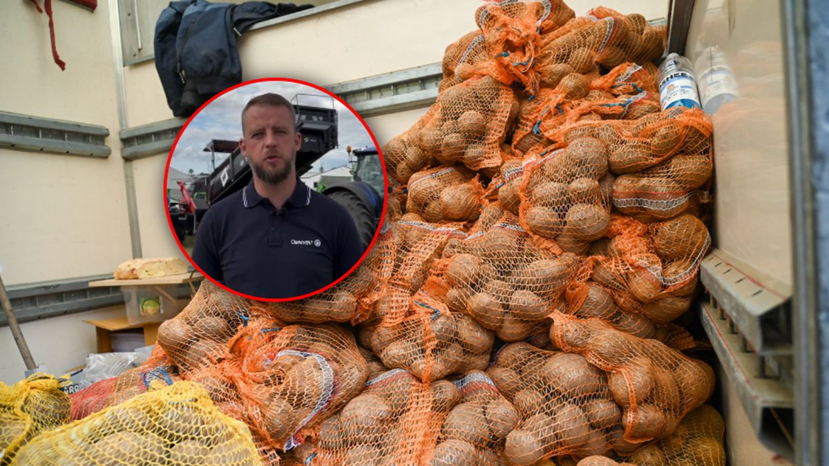 Kamil Maniak mówi o nadprodukcji ziemniaków w Polsce.
