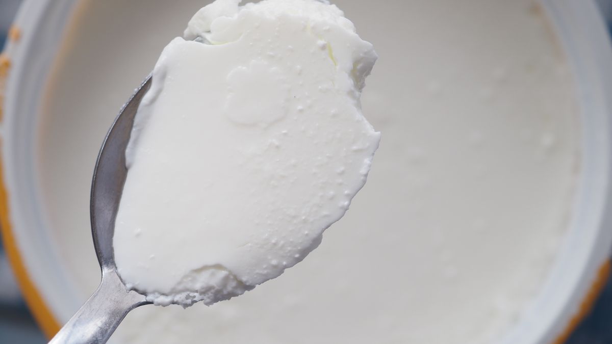 Jogurt