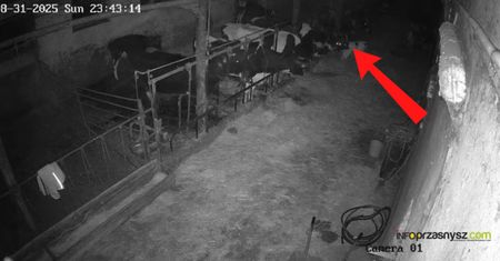 Kamera uchwyciła go przed 0:00. "Nie został niemal ślad"