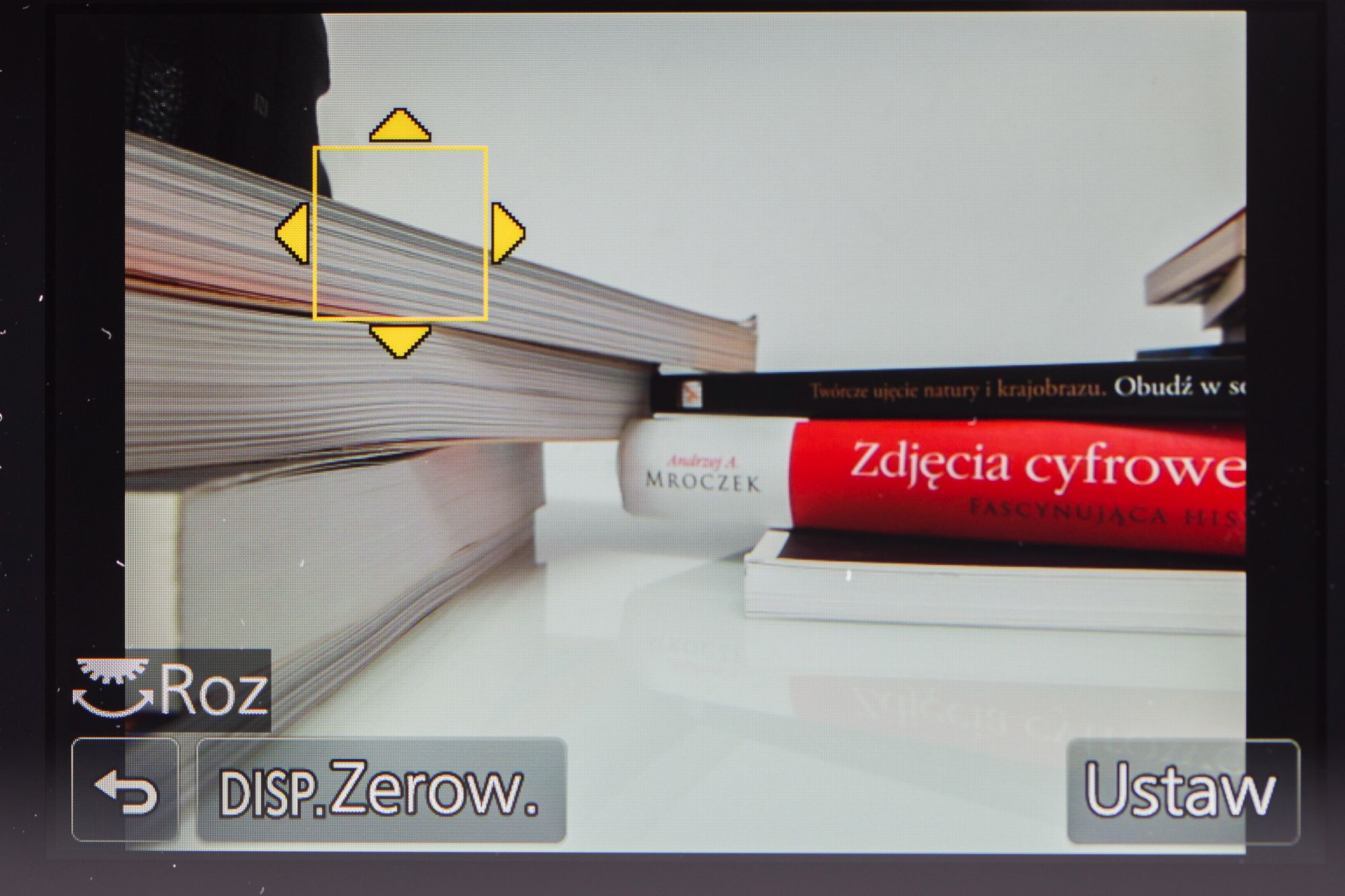 Panasonic Lumix FZ300 - test aparatu z ogniskową 600 mm, światłem f/2.8 i filmami 4K 16