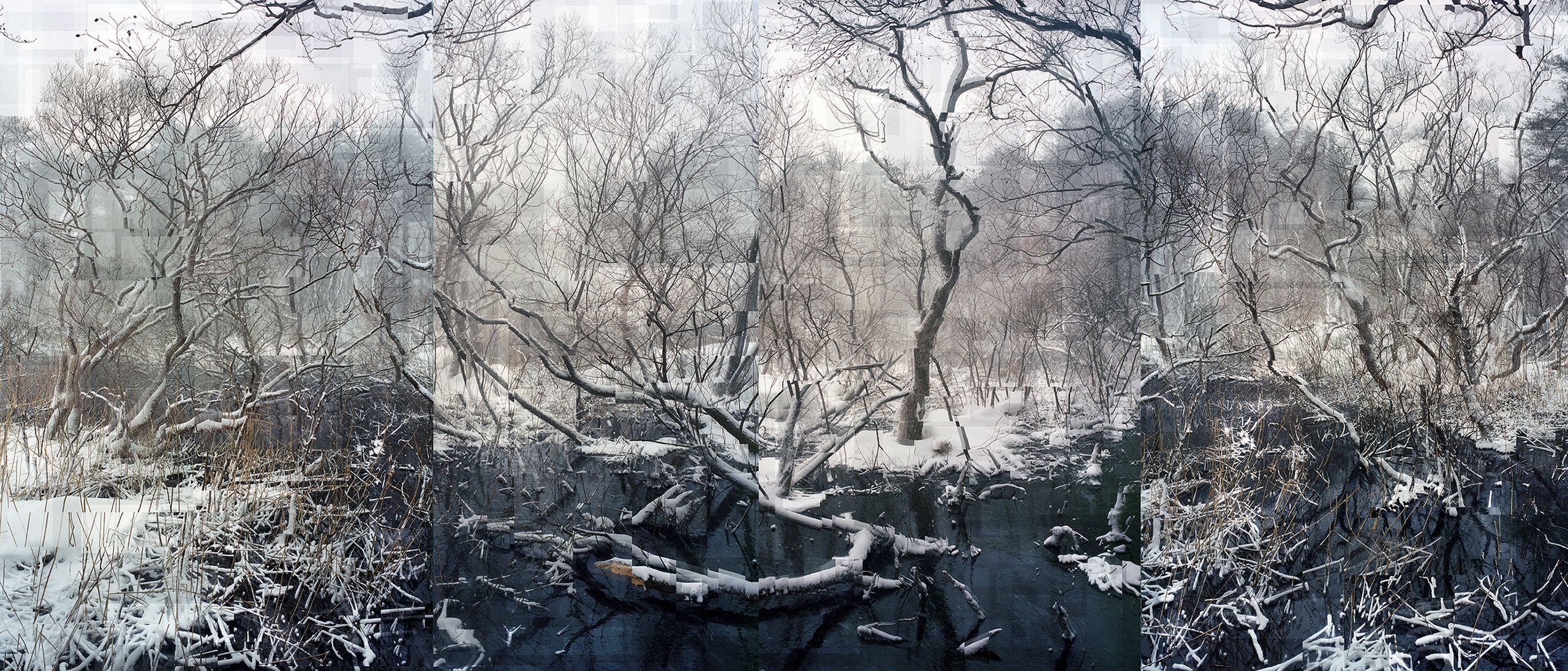 Znamy zwycięzców Sony World Photography Awards. Polak na III miejscu! 10