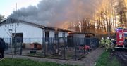 Obłęże: Wielki pożar schroniska dla zwierząt Bubinkowo
