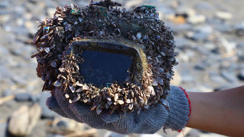 Jej aparat przeleżał w morzu ponad 2 lata. Zdjęcia i sprzęt ocalały! 1