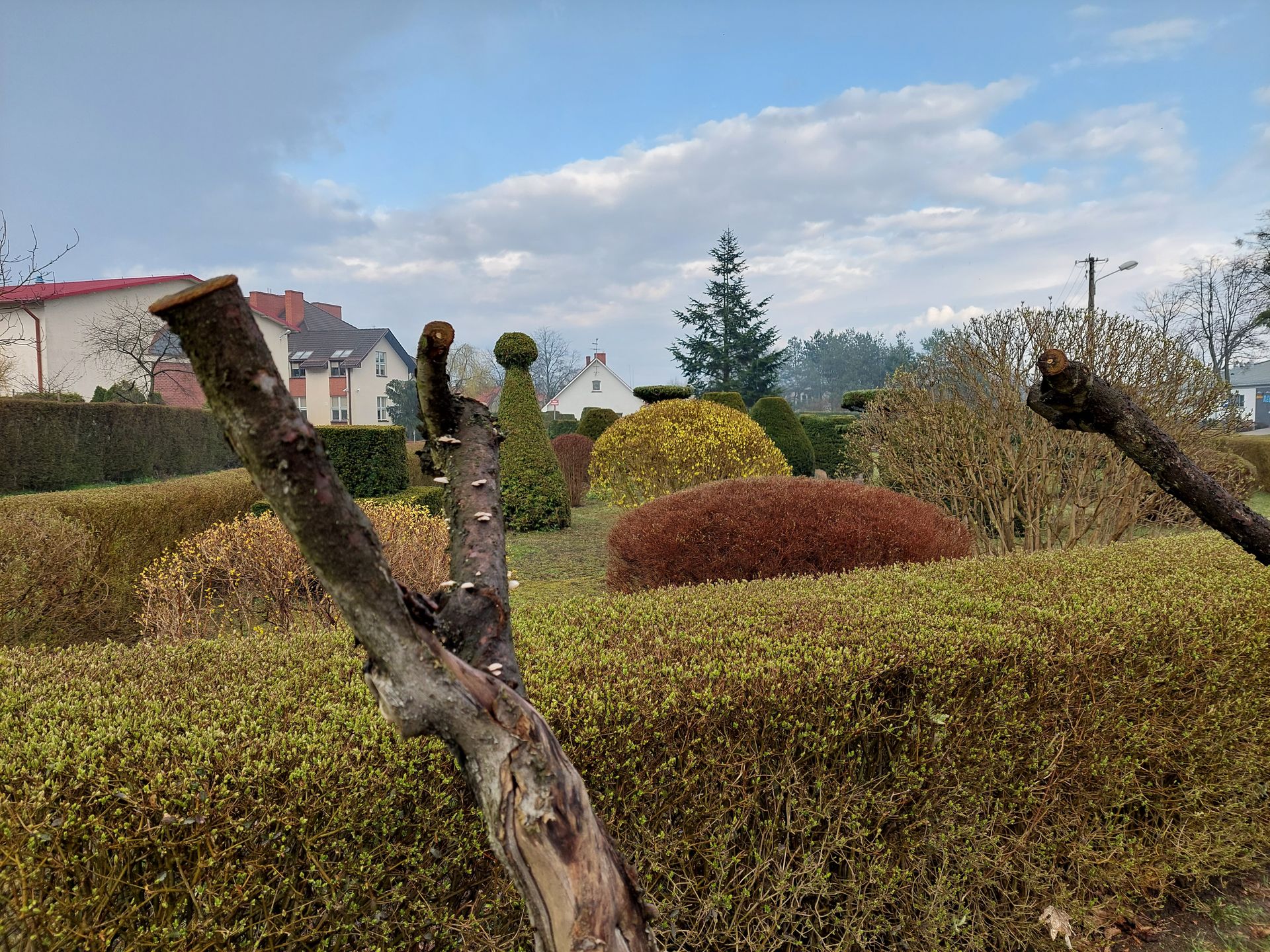 Smartfon szyty na miarę. Test Samsunga Galaxy A52 5G 24