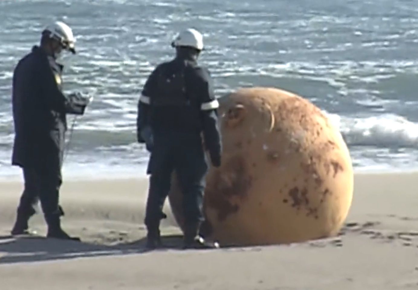 Tajemnicza kula na plaży w Japonii. Ludzie pytają, czy to "Dragon Ball"