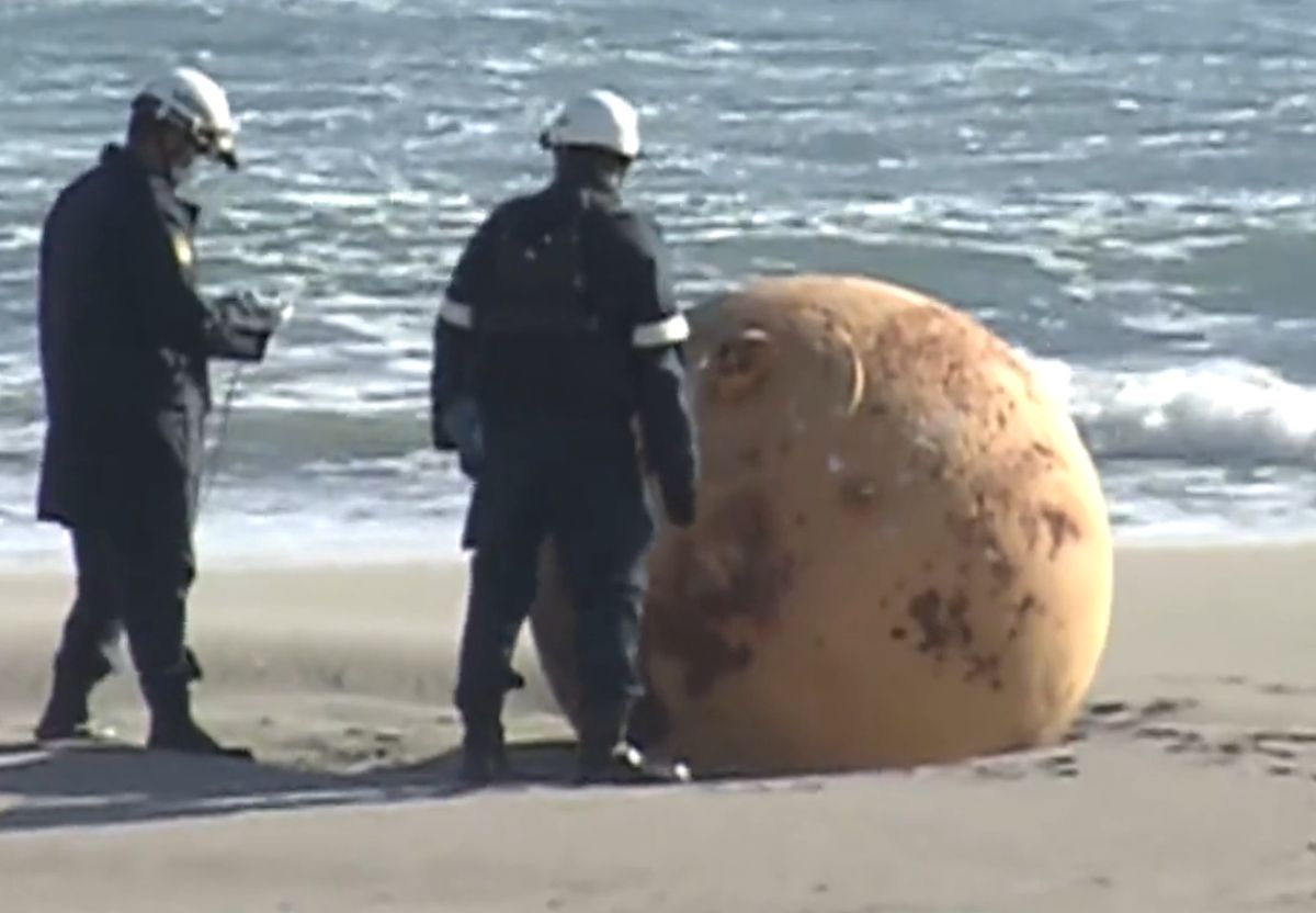 Tajemnicza kula została oficjalnie zidentyfikowana 21 lutego, choć niektórzy twierdzą, że leżała na plaży od miesiąca