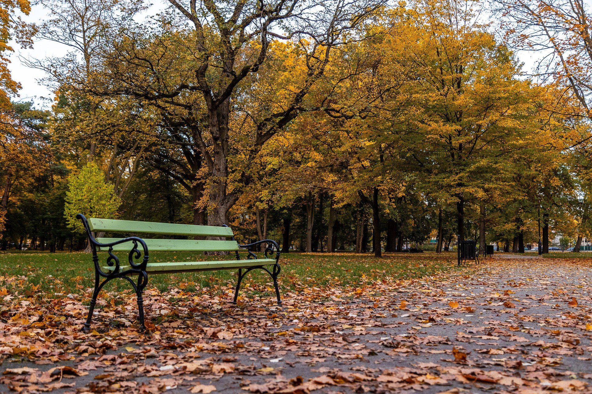 Park zachęca do melancholijnych spacerów swoimi alejkami.