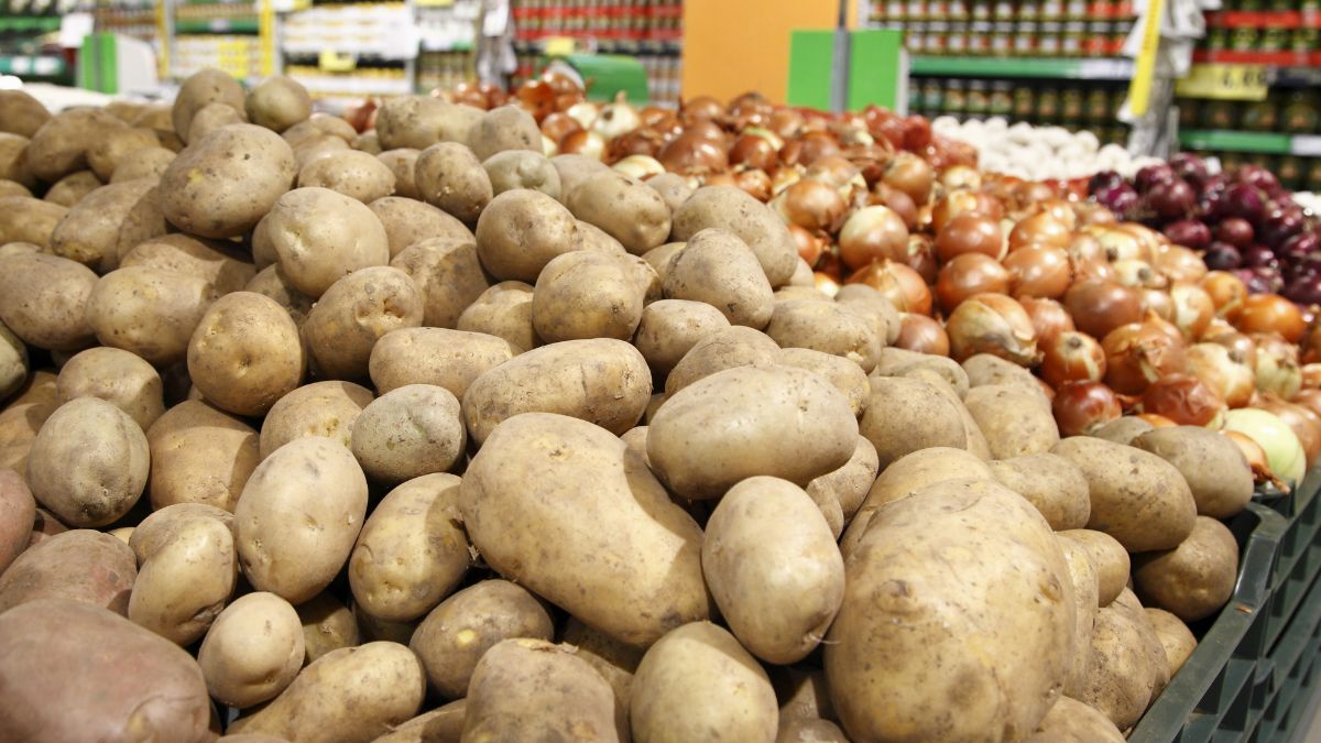 Zbadano obecność pestycydów w ziemniakach z popularnych sklepów