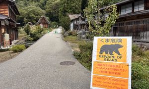 Japonia szykuje armię. Będą walczyć z potężnym problemem