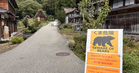 Japonia szykuje armię. Będą walczyć z potężnym problemem