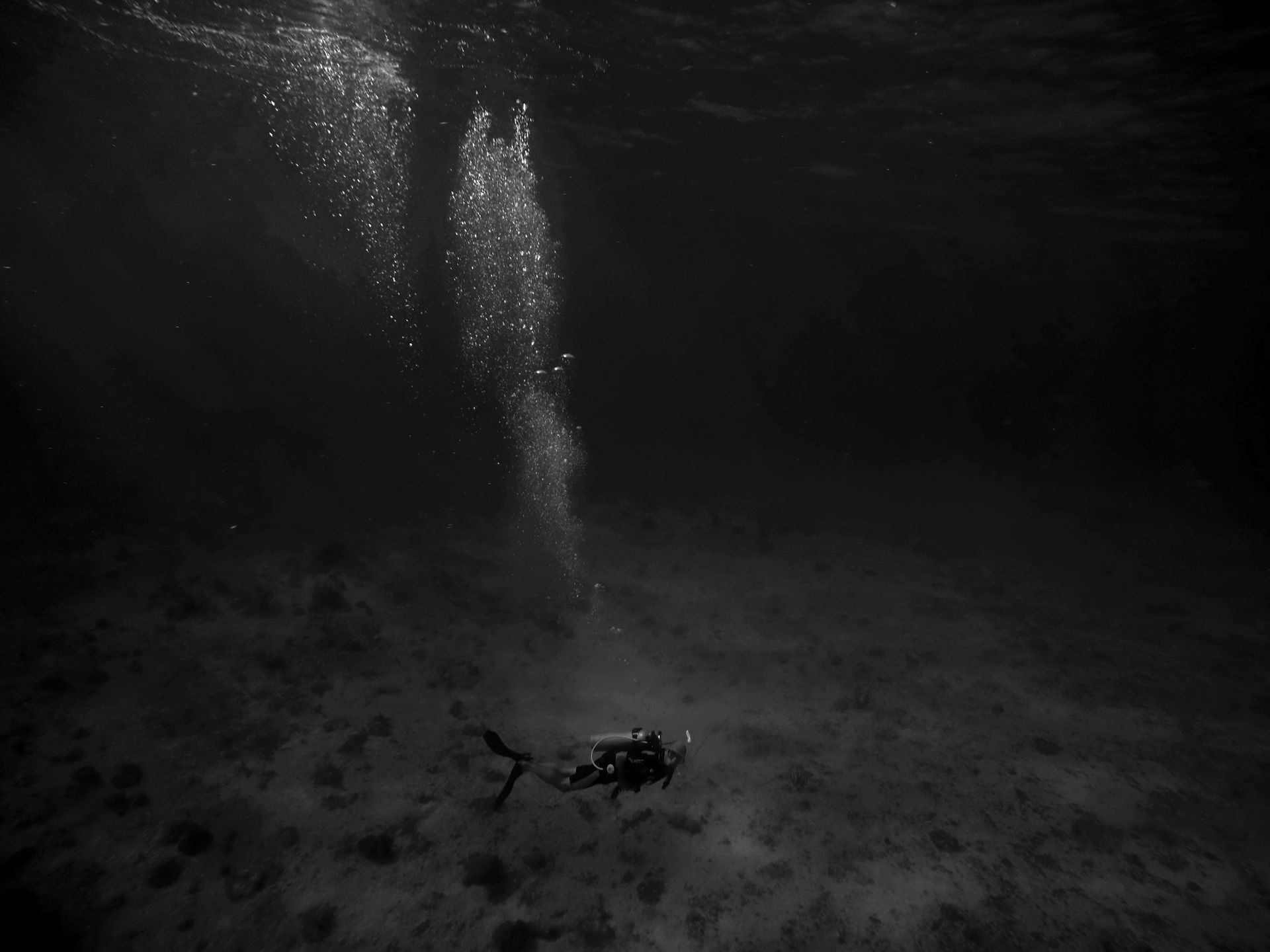 Piotr Leczkowski zwycięzcą polskiej edycji National Awards w Sony World Photography Awards 2019 76