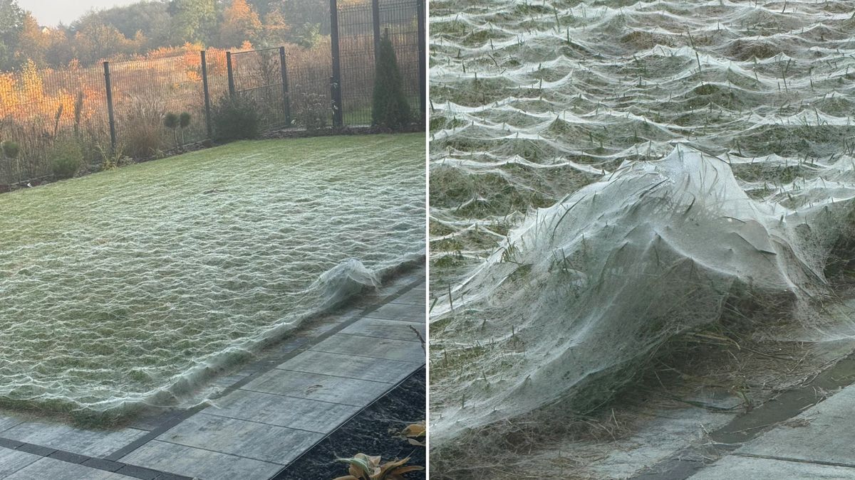 Mieszkaniec Poznania przeżył szok