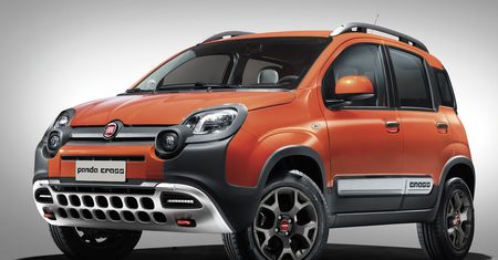 Fiat Panda Cross - niedźwiadek z zębem