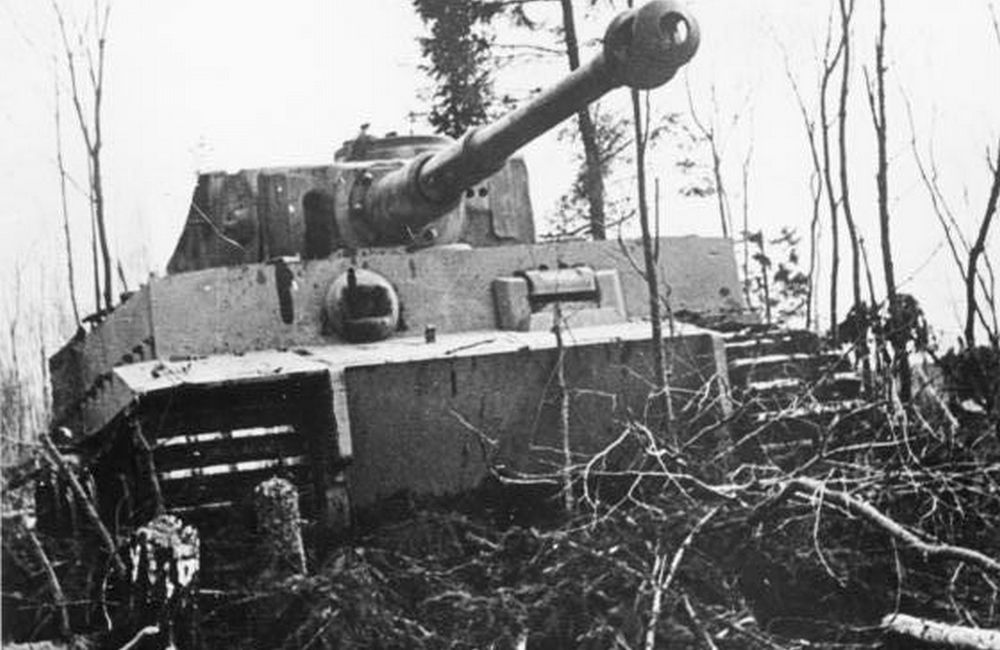 Zdjęcie Tygrysa wykonane w rejonie Leningradu na przełomie 1942 i 1943 roku