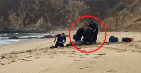 Sceny jak z filmu "Szczęki". Surfer zaatakowany przez ogromnego rekina