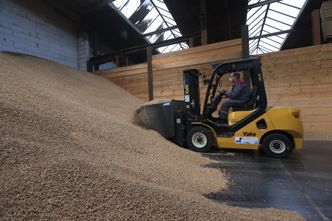 Drewna brakuje, a eksport kwitnie. Producenci w Niemczech mają dość