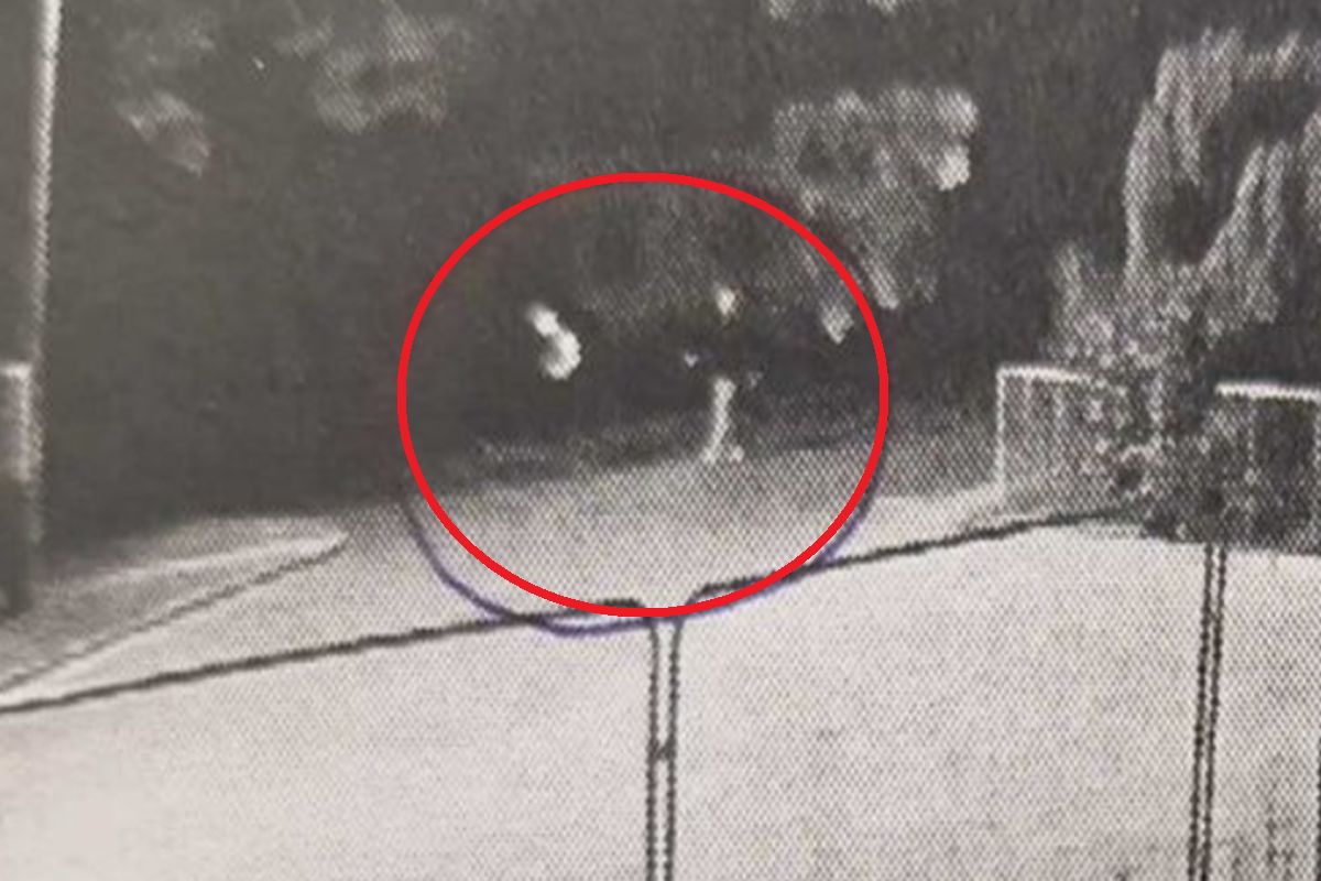 Skandal na całą Polskę. Ukradli popiersie. Szukają tych osób